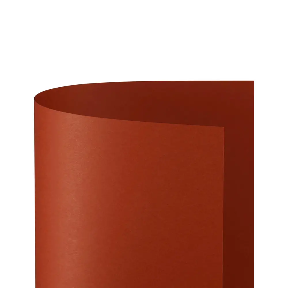 Cartoncino Bristol Liscio 200 gr - 25 Fogli 50x70 cm - Scarlatto - Carta e cartoncino