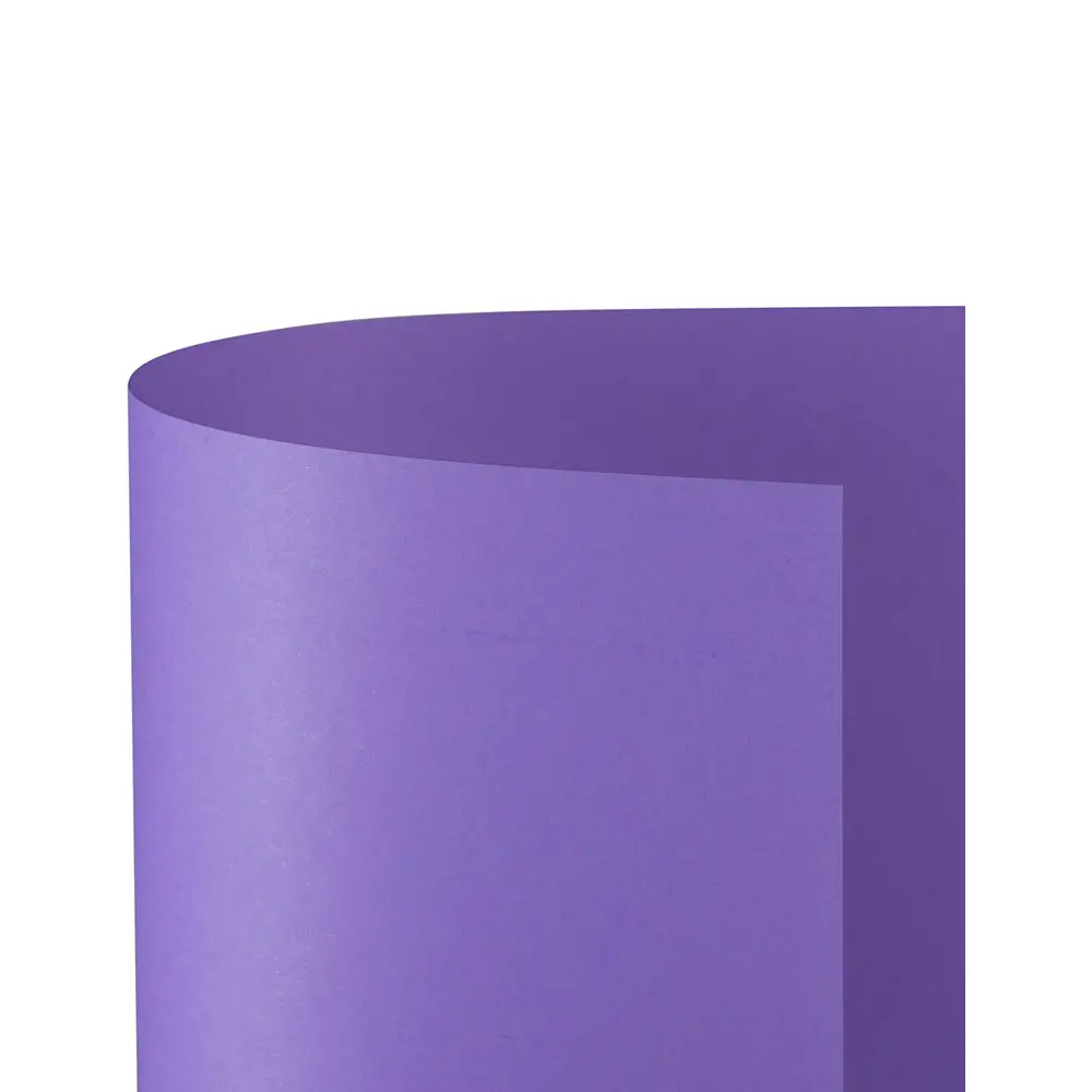 Cartoncino Bristol Liscio 200 gr - 25 Fogli 50x70 cm - Violetto - Carta e cartoncino