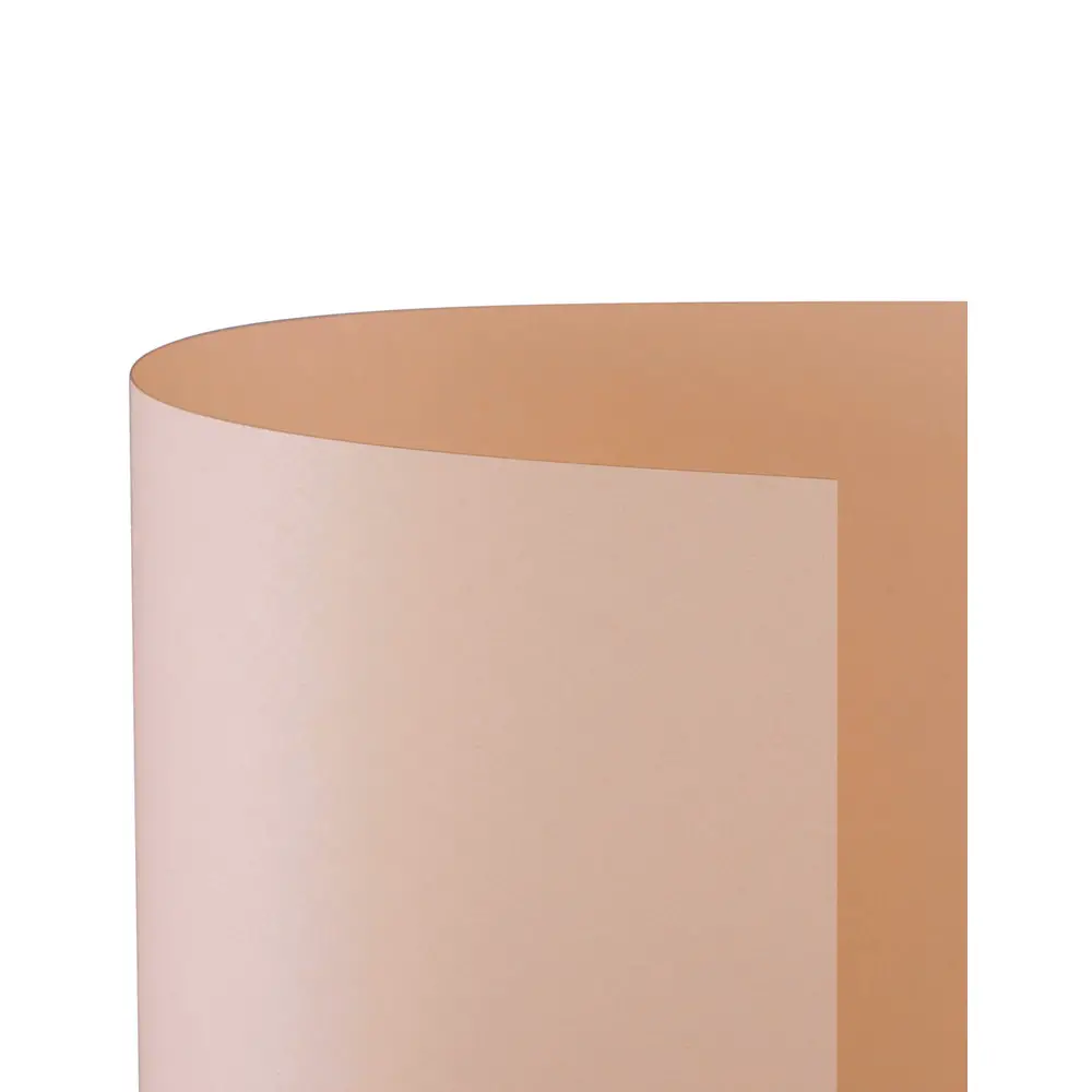 Cartoncino Bristol Liscio 200 gr - 25 Fogli 50x70 cm - Salmone - Carta e cartoncino