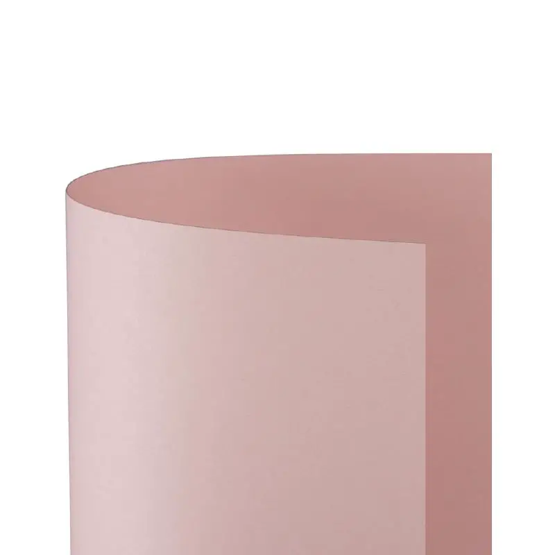 Cartoncino Bristol Liscio 200 gr - 10 Fogli 70x100 cm - Rosa - Carta e cartoncino