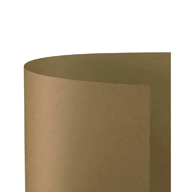 Cartoncino Bristol Liscio 200 gr - 10 Fogli 70x100 cm - Camoscio - Carta e cartoncino