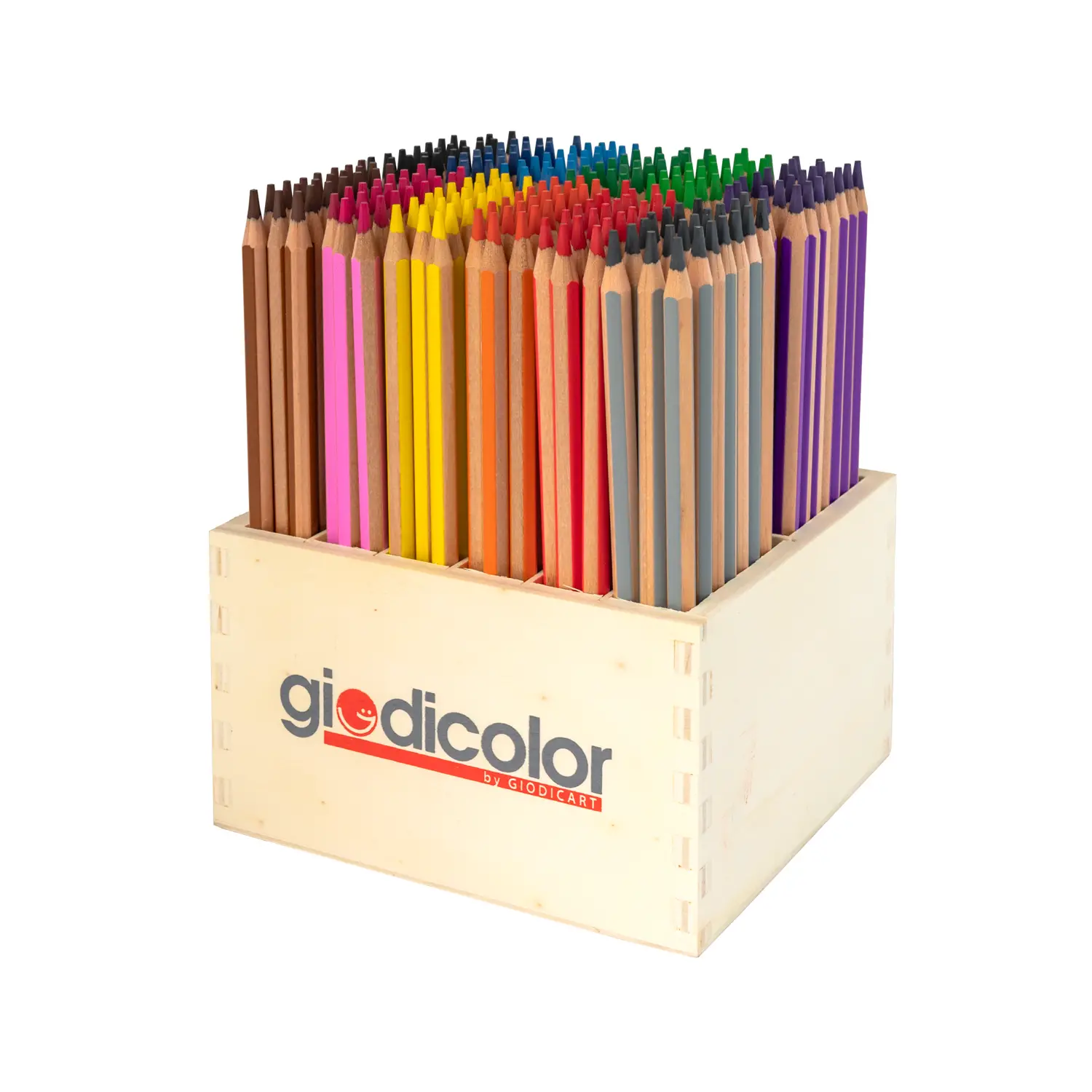 Matite Colorate Esagonali Giodicolor: 264 Pastelli in 12 Colori Vivaci - Pastelli