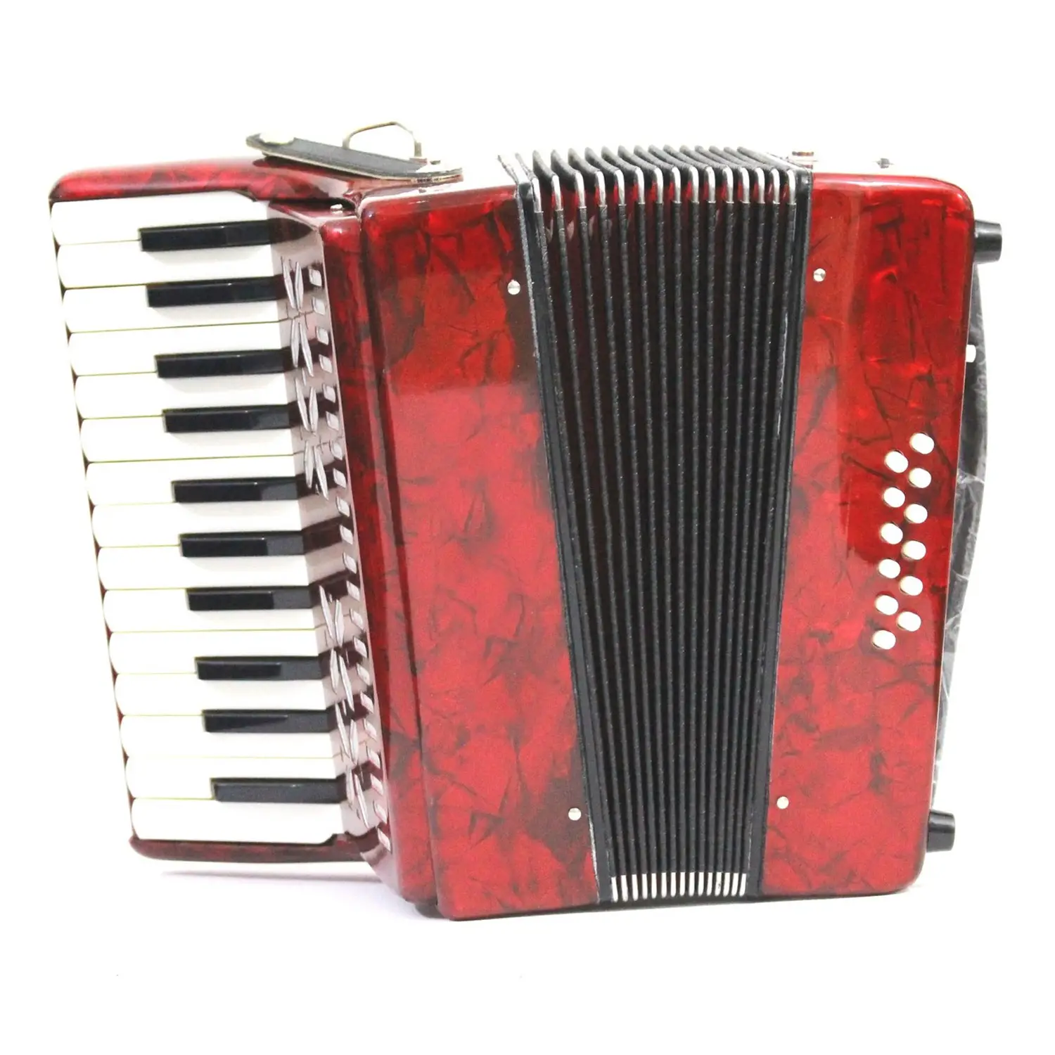 Fisarmonica 12 Bassi – 25/12 Tasti - Educazione musicale