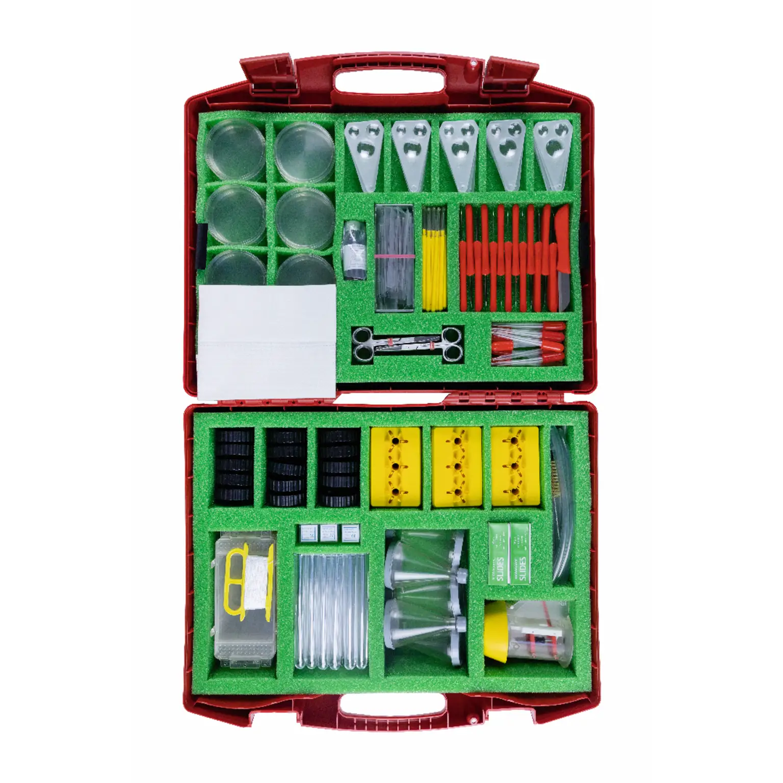 Kit Base Biologia - Laboratori
