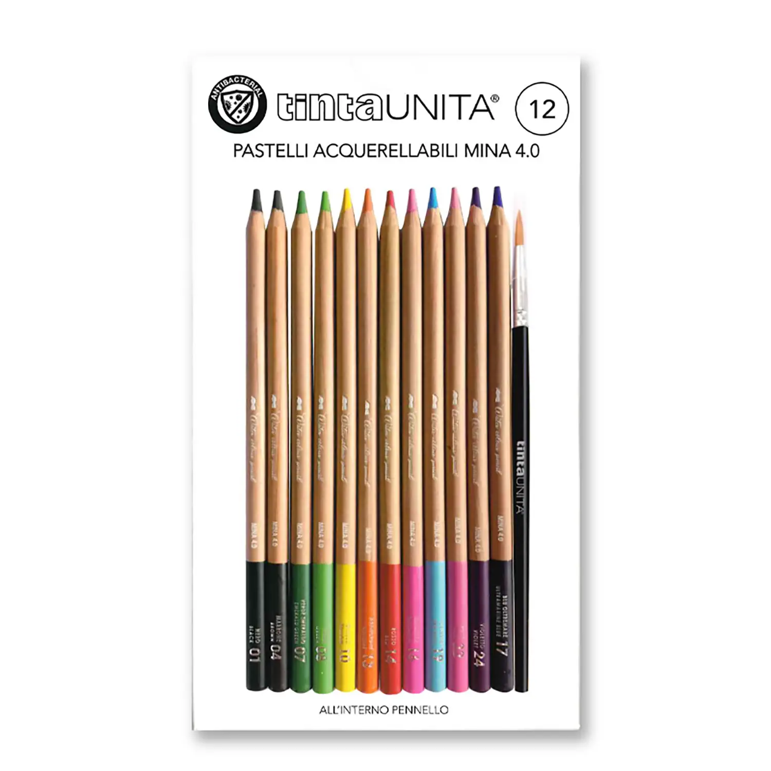 Tinta Unita – 12 Pastelli Acquerellabili Mina 4.0 | Set Completo con Pennello - Pastelli