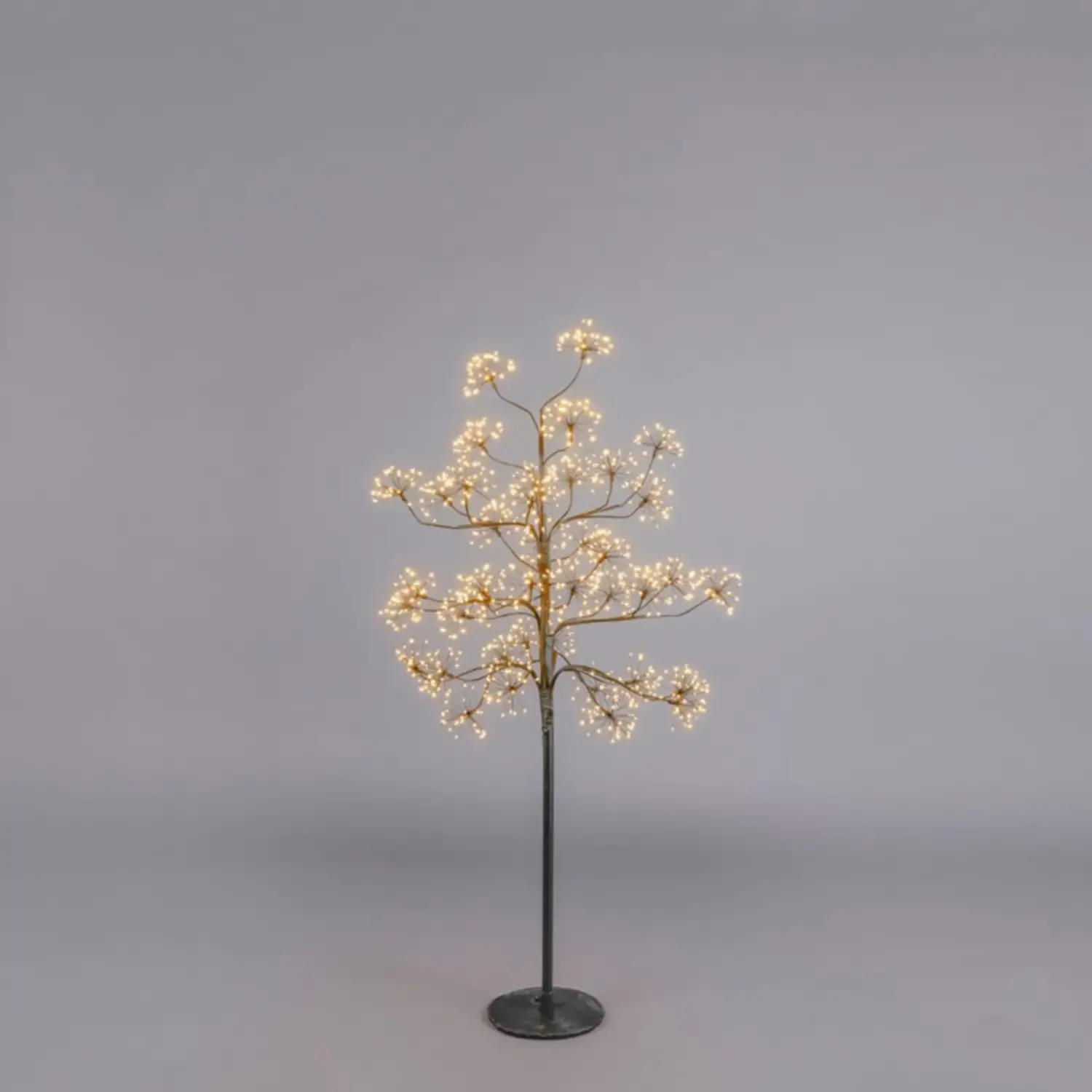 Faggio Natalizio con 1120 LED e Ciuffi: Altezza 150 cm, Diametro 70 cm, Black - alberi led di design