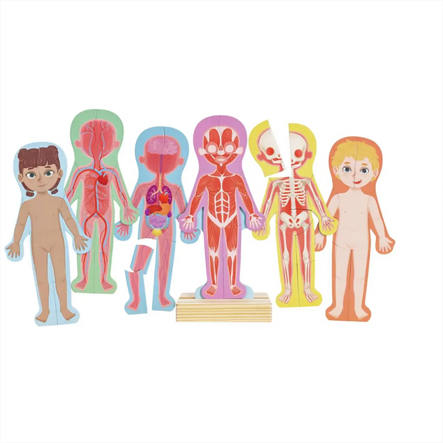 Puzzle Magnetico del Corpo Umano, Gioco Educativo - costruzioni magnetiche