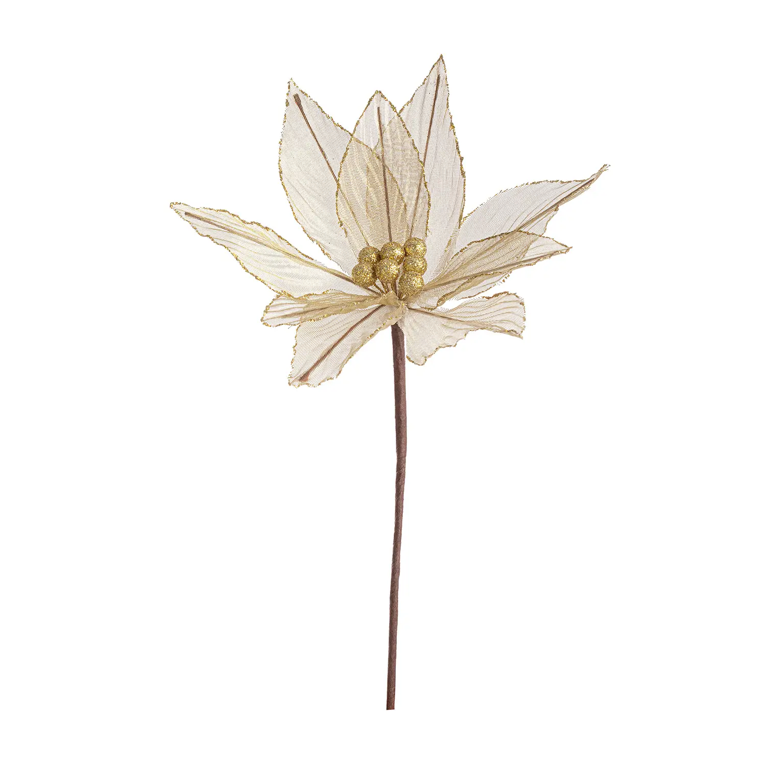Poinsettia Olympias Fiore Natalizio 25x25 Oro - fiori e ghirlande