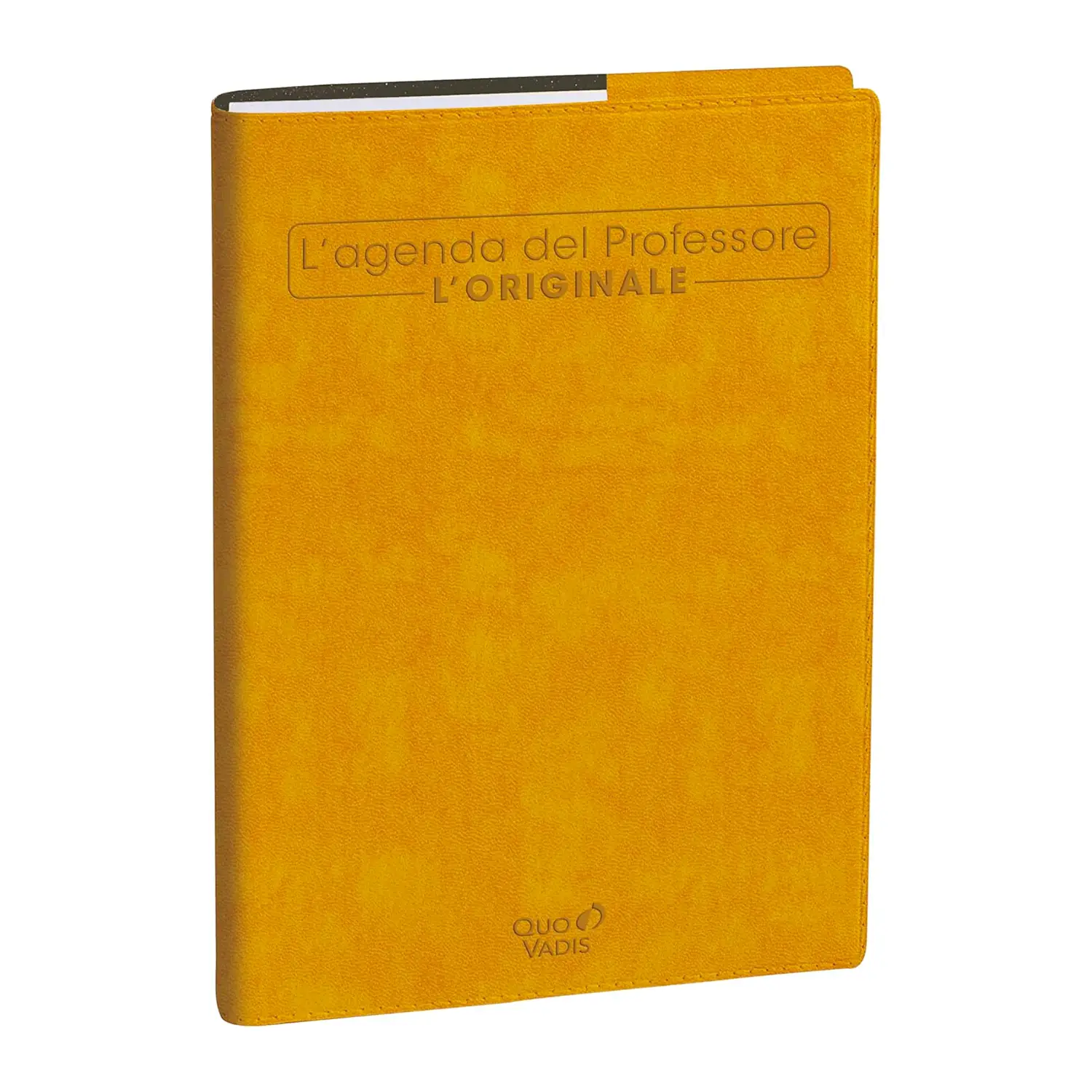 Agenda 2026/2027 Professore - Bisettimanale, Italiano, Rub Roma Giallo Zafferano - agende