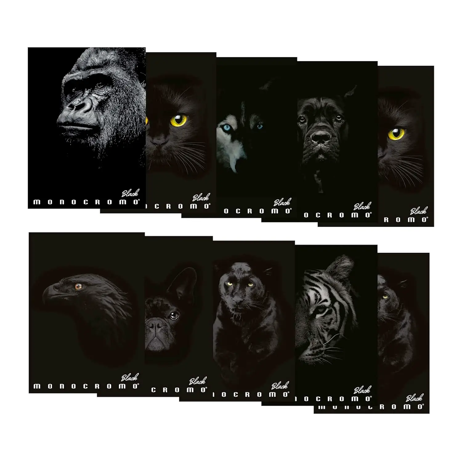 Quaderno Maxi Pigna Monocromo Black - 72 Pagine - Rigatura 5M - Cancelleria varia
