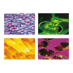 Konus Vetrini Preparati: Biologia 1